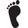 Chemical Footprint